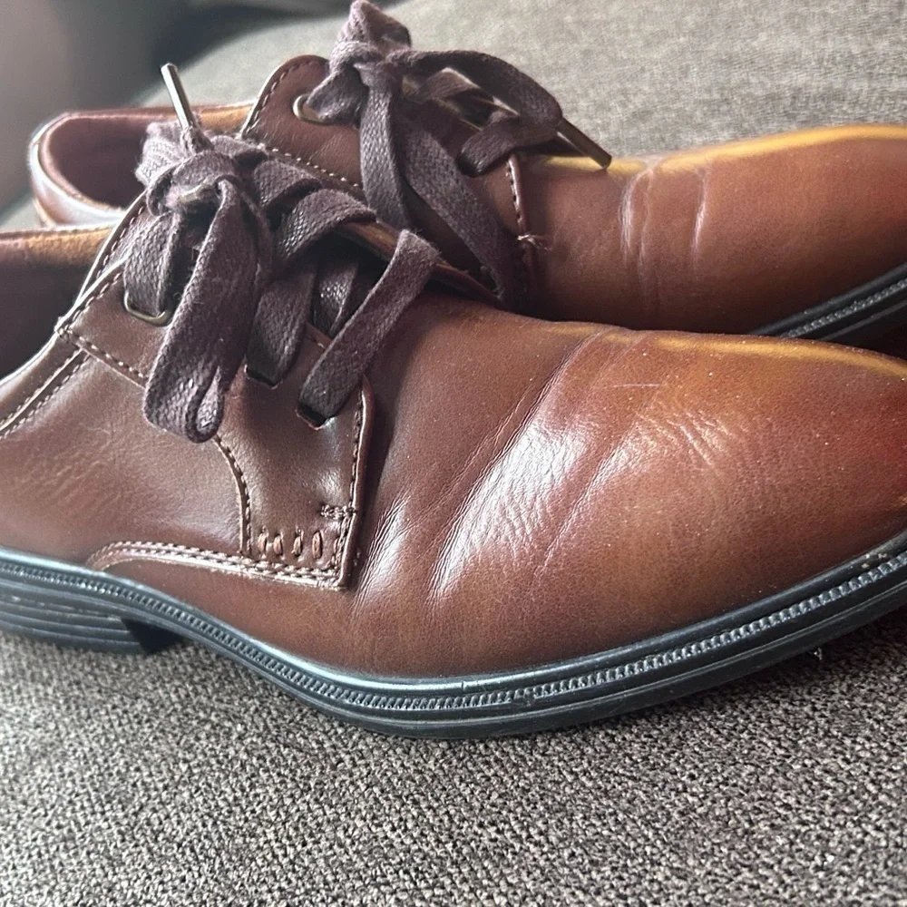 Deer stags brown boy dressing shoes